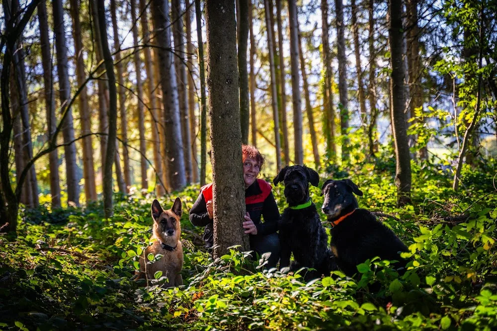 Dog Service Alpstein - Appenzell Innerrhoden pet otel