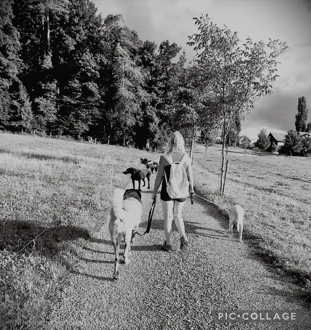 hundebetreuung-sandra - Appenzell Innerrhoden pet otel
