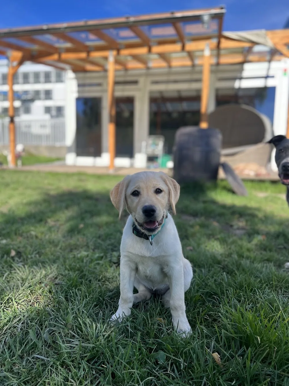 Hundekompetenzzentrum St. Gallen - Appenzell Innerrhoden pet otel