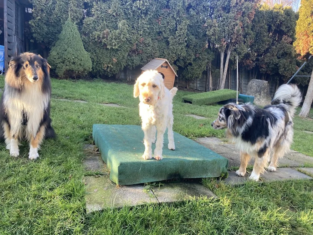 Hundepension Lütisburg - Appenzell Innerrhoden pet otel görseli 3