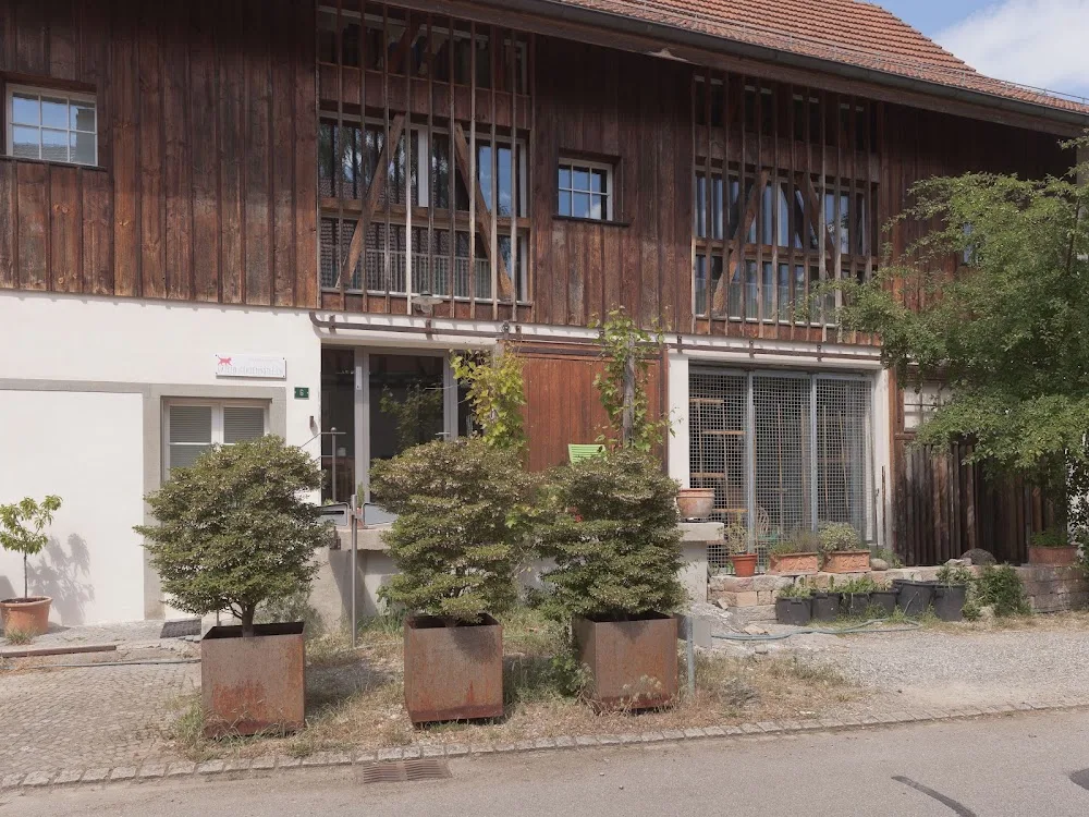 Katzen-Ferienhotel - Appenzell Innerrhoden pet otel