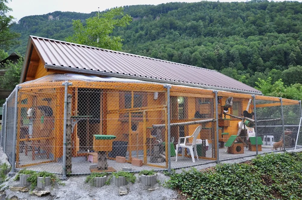 Katzenpension Apollo - Appenzell Innerrhoden pet otel görseli 2