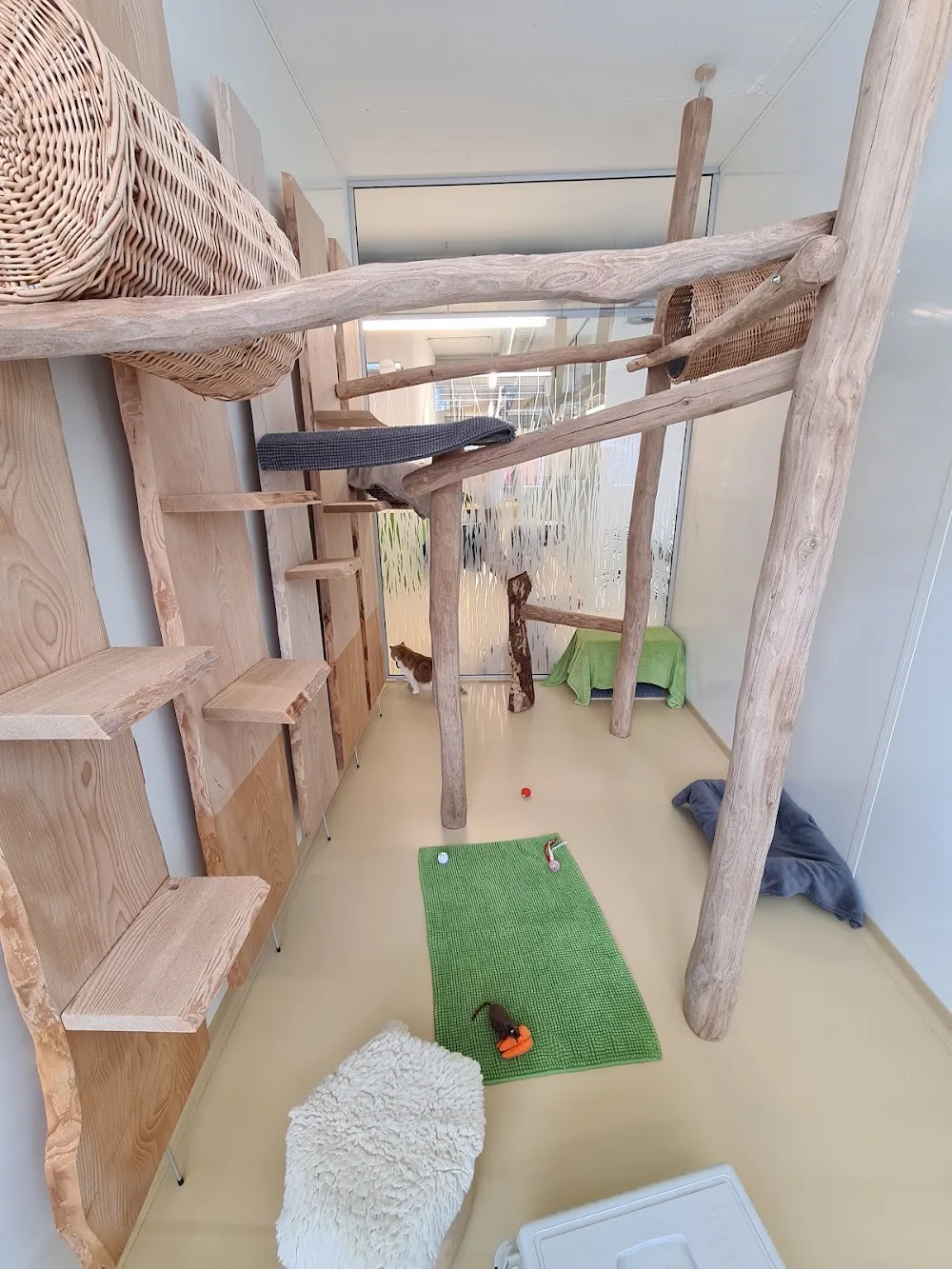 Marigin Katzenhotel - Appenzell Innerrhoden pet otel görseli 3