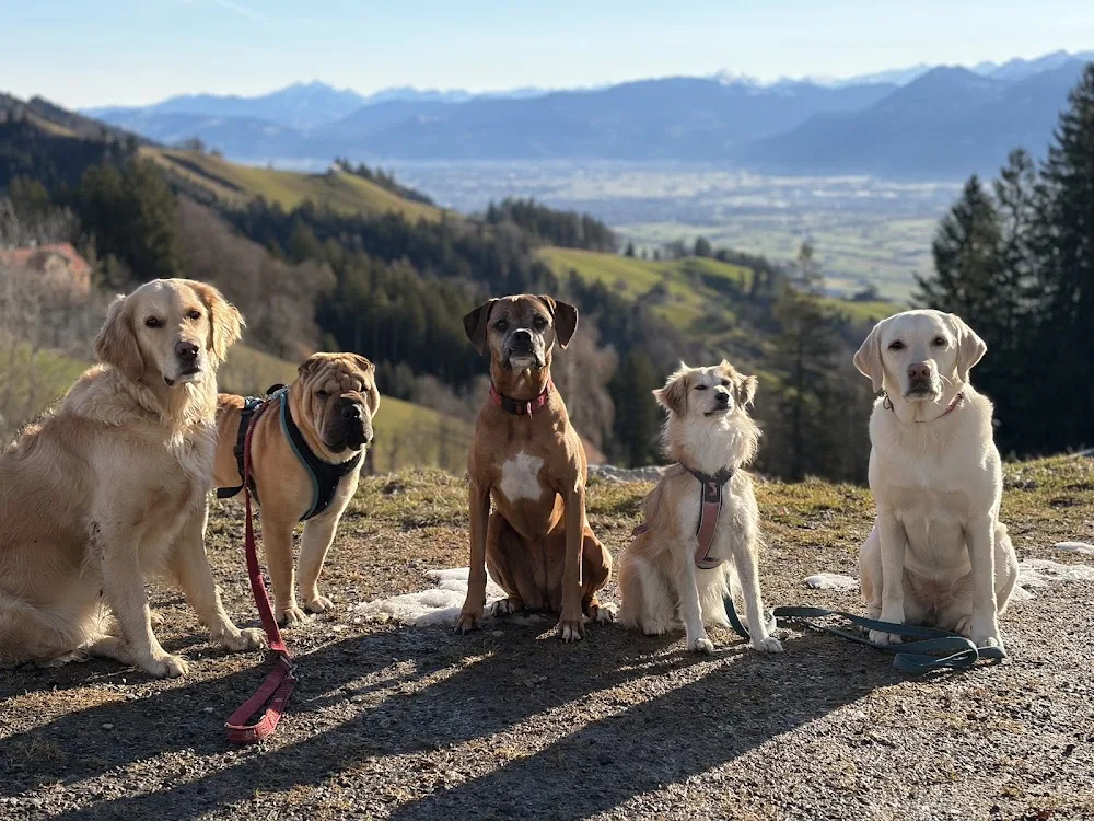 Paw and Claw - Tierbetreuung Trogen - Appenzell Innerrhoden pet otel