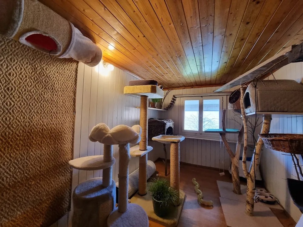 Tierpension Grüne Pfote - Appenzell Innerrhoden pet otel görseli 3