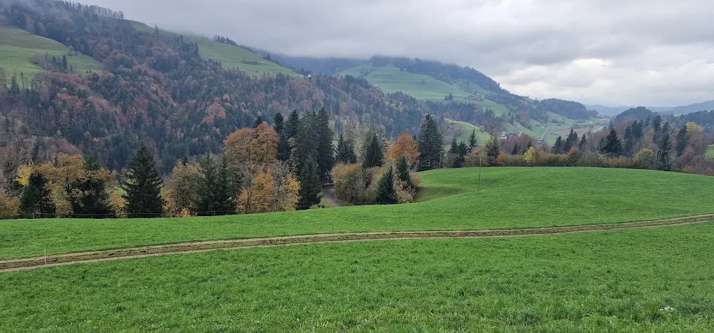 Tierservice Heer Hundepension - Appenzell Innerrhoden pet otel