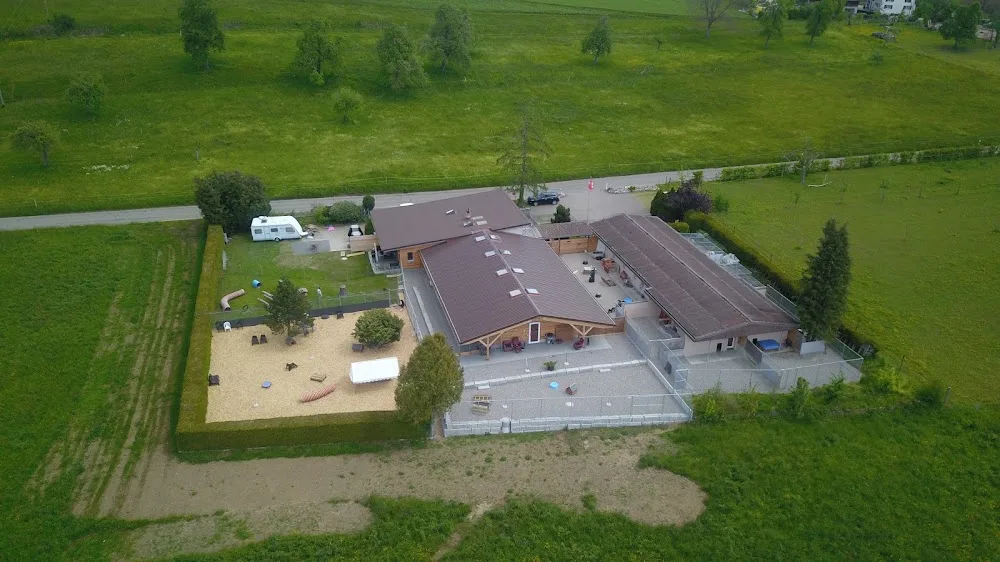 V.I.Pets Gossau - Tierpension - Appenzell Innerrhoden pet otel