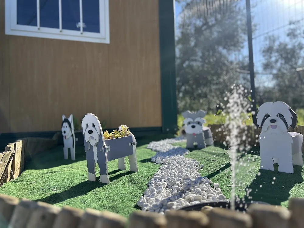 APULIA DOG VILLAGE - Pensione per cani - Centro cinofilo - Agility dog - Apulia pet otel görseli 6