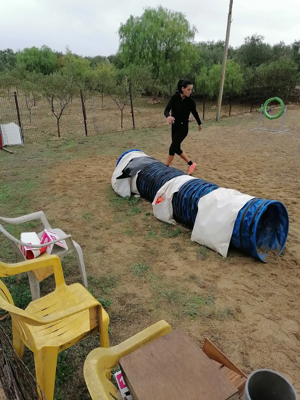 Centro Cinofilo Bauhouse - Pensione, Asilo e Addestramento - Apulia pet otel görseli 3