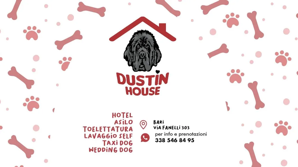 Dustin House, Bari - Pensione per cani a Bari, Hotel e Asilo per cani, Toelettatura e lavaggio self servicecani Puglia, Bari - Apulia pet otel