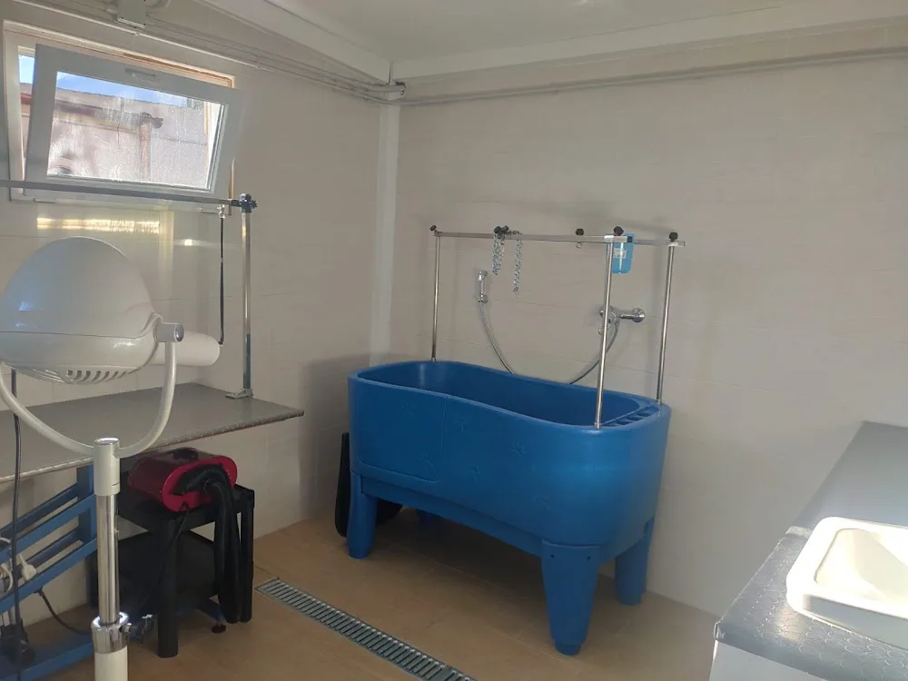 Dustin House, Bari - Pensione per cani a Bari, Hotel e Asilo per cani, Toelettatura e lavaggio self servicecani Puglia, Bari - Apulia pet otel görseli 3