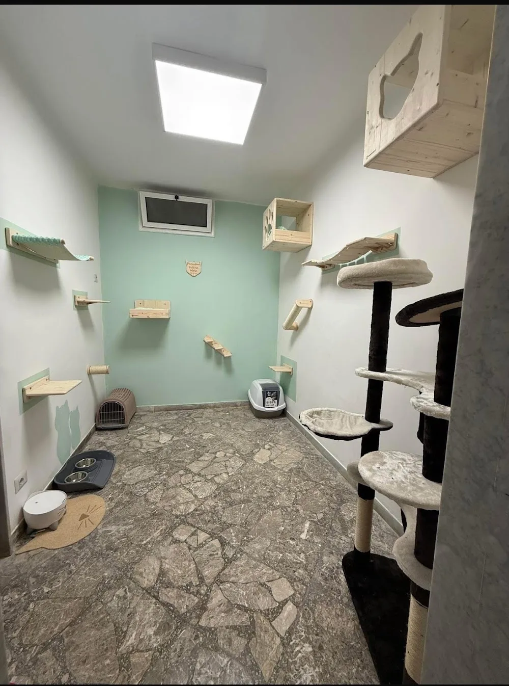 L'arca di Noè di Furio Valentina - Apulia pet otel görseli 3