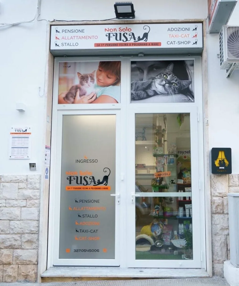 Non Solo Fusa - Pensione Felina - Apulia pet otel