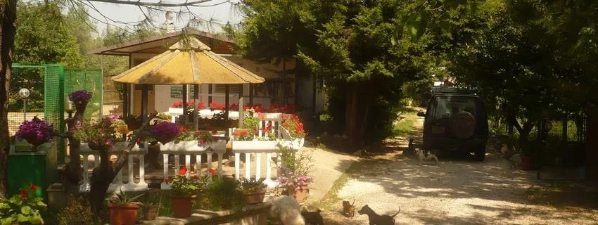 Ranch Dog - Pensione per cani - Apulia pet otel