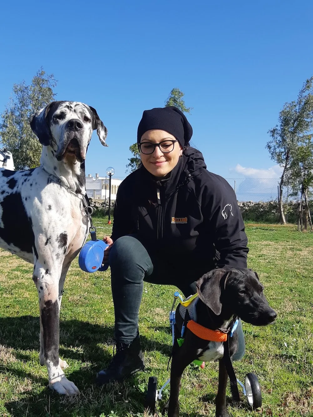 The great dog kennel - Apulia pet otel görseli 3