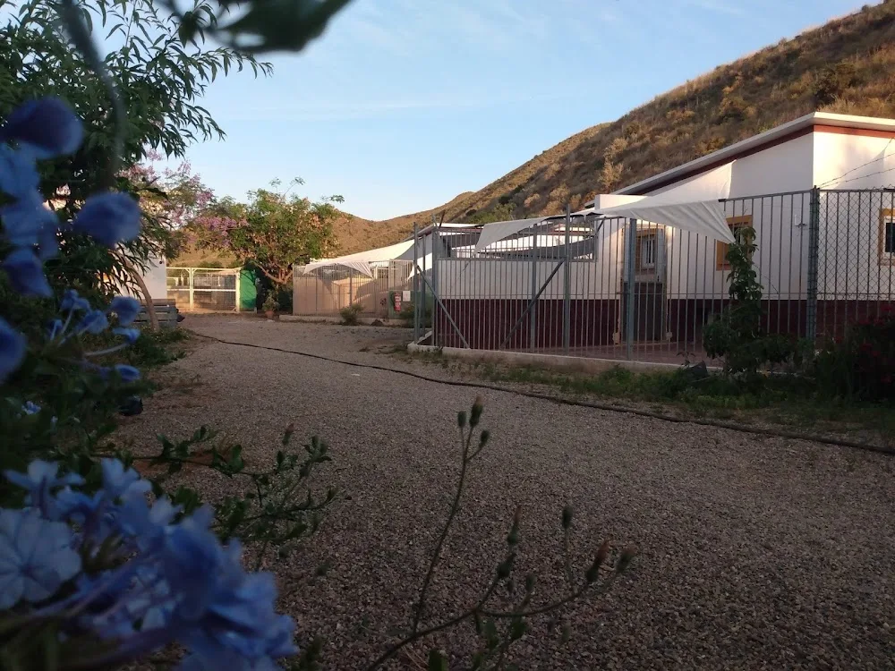 Animal Hotel - Araba pet otel
