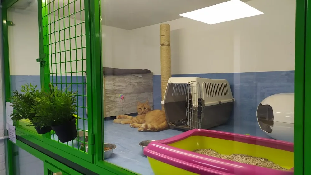Animal Solución Guardería Canina perros gatos conejos - Araba pet otel görseli 3