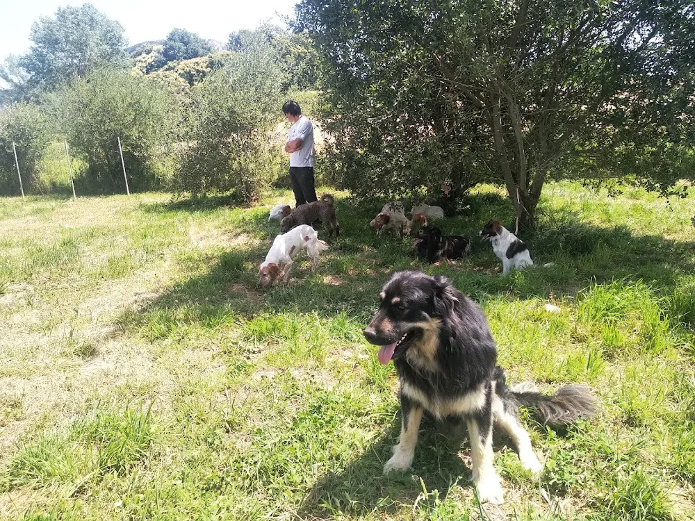 Durrumakan Residencia Canina - Araba pet otel