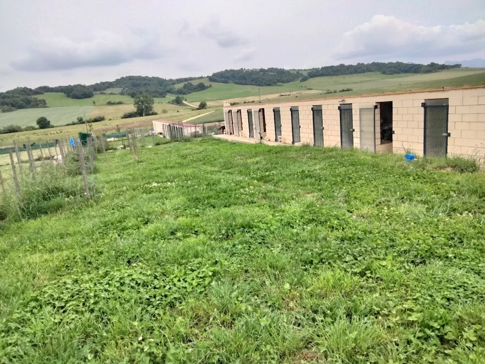 Durrumakan Residencia Canina - Araba pet otel görseli 3
