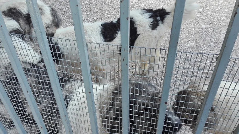 Guardería canina Pagoa - Araba pet otel