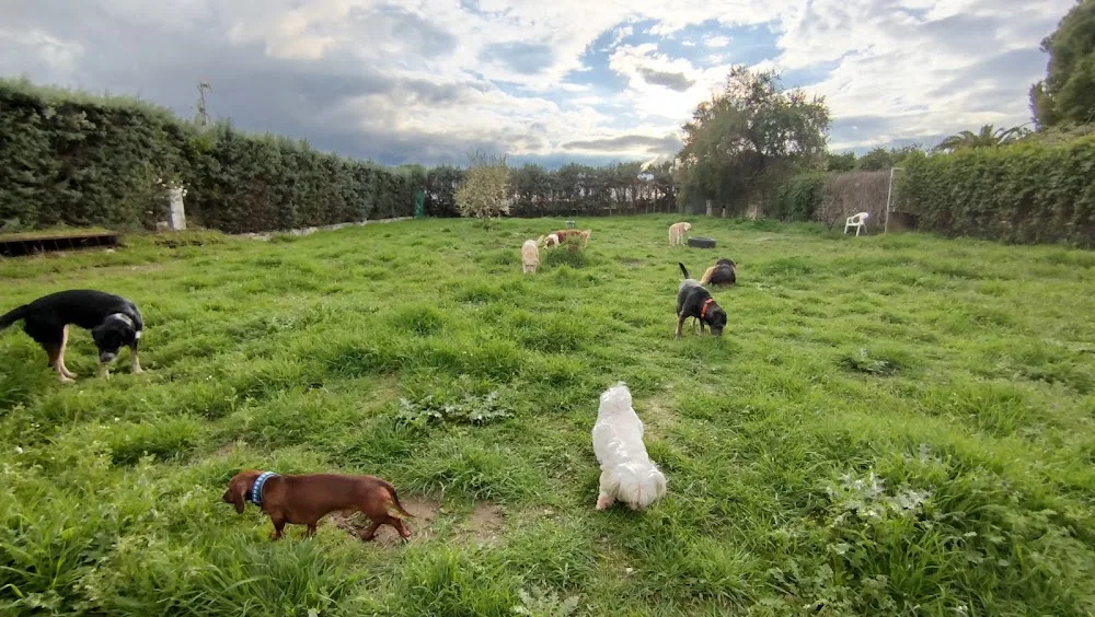 Guardería/Residencia Canina Familia Amor Animals - Araba pet otel