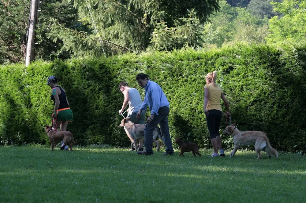 Hotel Canino Aiartza - Araba pet otel