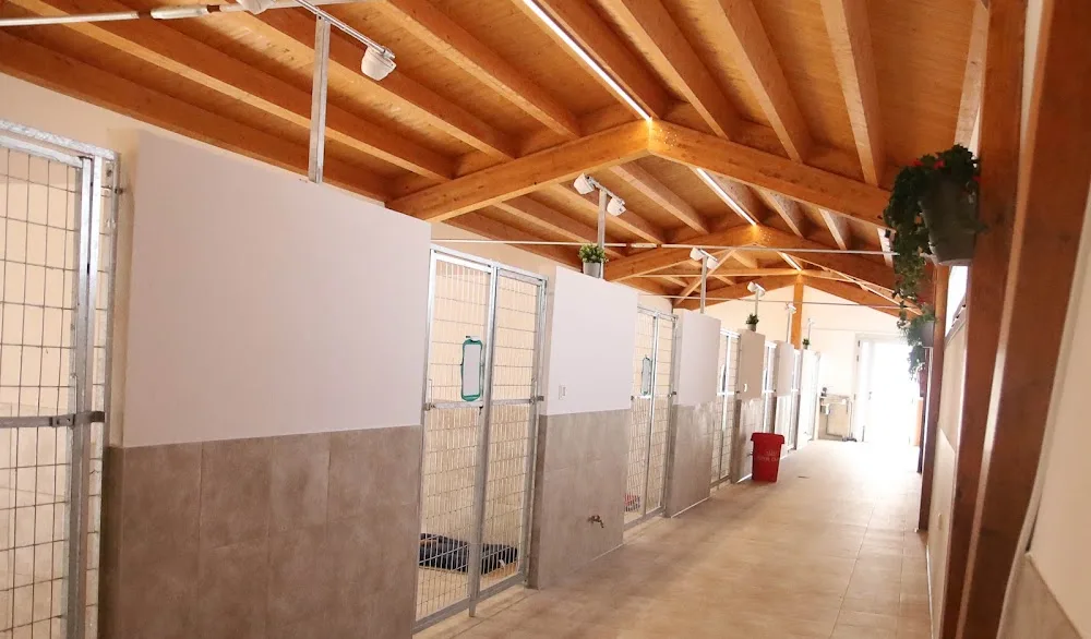 Mendixurbe Hotel Canino - Araba pet otel