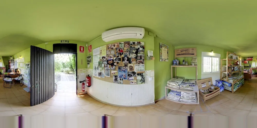 Peludos - Residencia Canina y Felina - Araba pet otel görseli 3