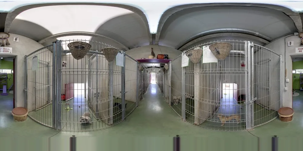 Peludos - Residencia Canina y Felina - Araba pet otel görseli 4