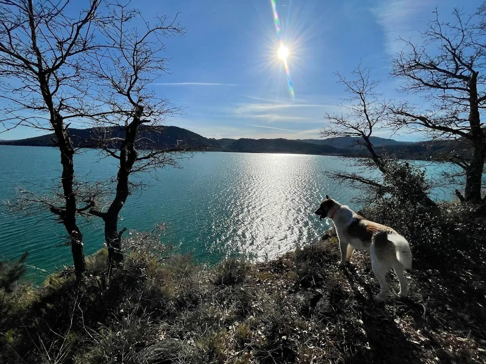 Residencia canina Aínsa sobrarbe - Araba pet otel görseli 2