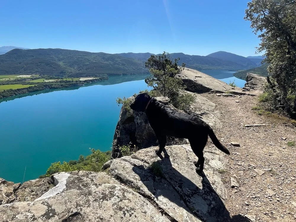 Residencia canina Aínsa sobrarbe - Araba pet otel görseli 3
