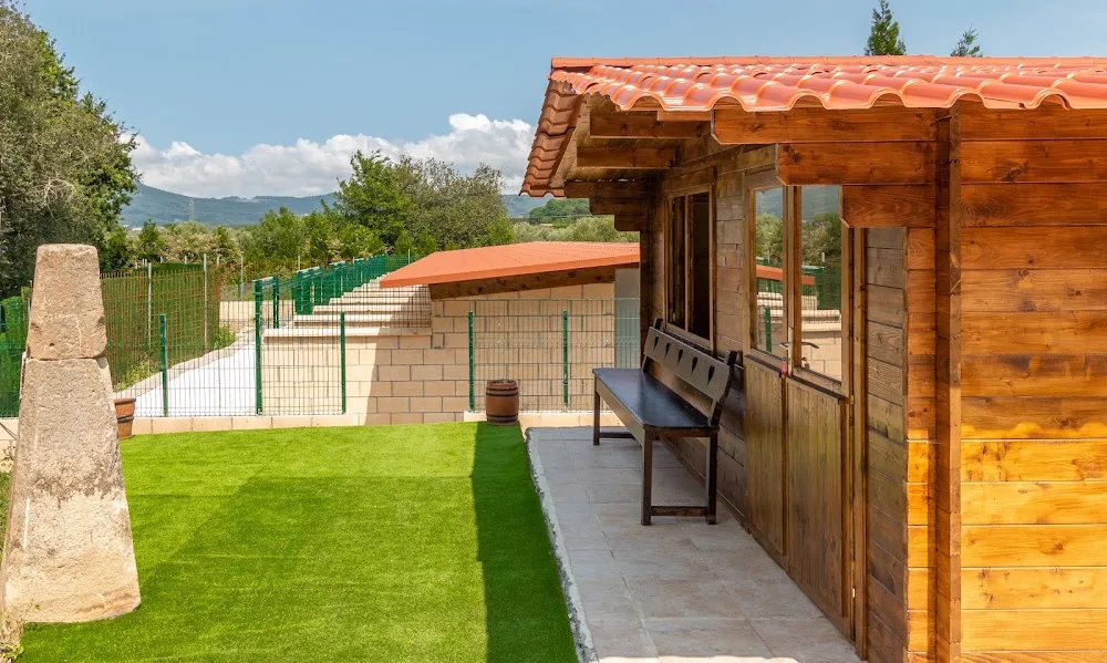 Residencia Canina Jagon / Hotel canino - Araba pet otel görseli 3