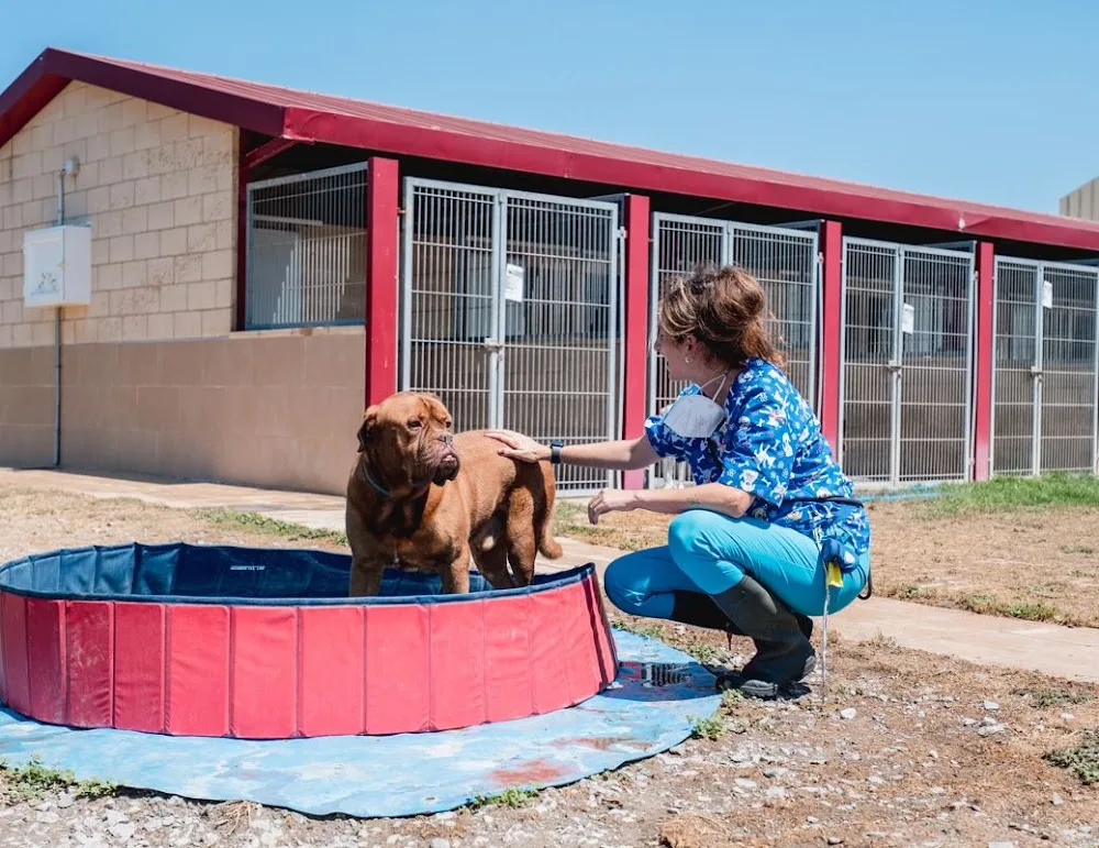 Residencia Canina Nanclares - Araba pet otel görseli 3