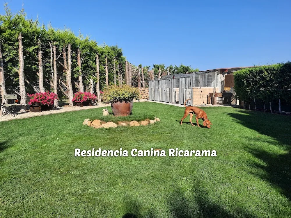 RESIDENCIA CANINA RICARAMA - Araba pet otel görseli 2