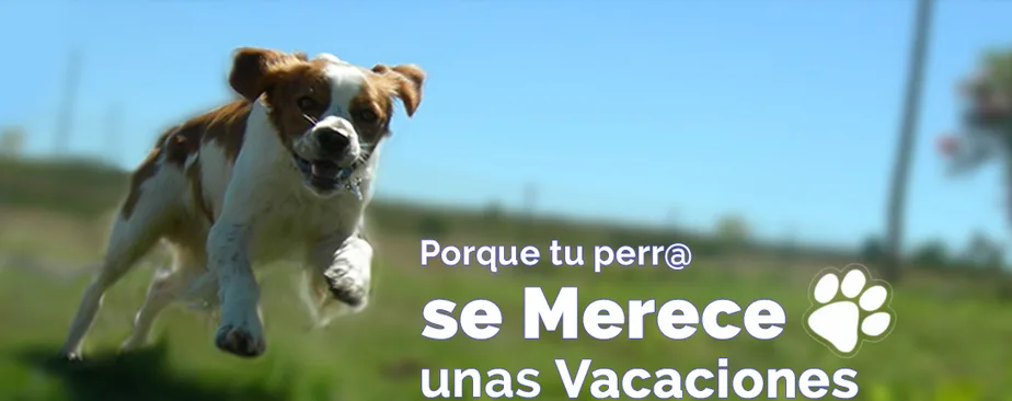 Residencia Canina Riverarce - Araba pet otel görseli 2