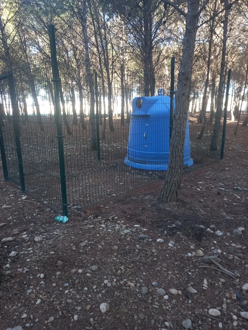 Residencia gatos - Araba pet otel görseli 2