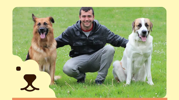 SitCan Urdaneta Adiestramiento y Hotel Canino - Araba pet otel