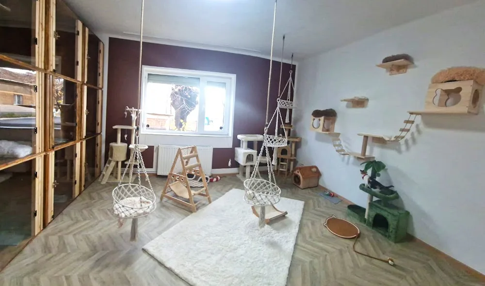 Conacul Aristocat - Arad pet otel görseli 3