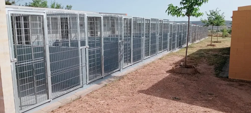 Residencia Canina La Guarida de tu Mascota - Aragon pet otel