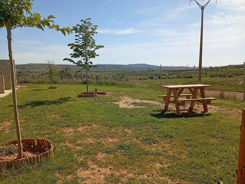 Residencia Canina La Guarida de tu Mascota - Aragon pet otel görseli 3