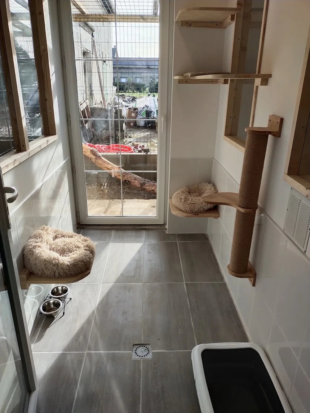 Bulle ô Chats - Archigny pet otel görseli 3