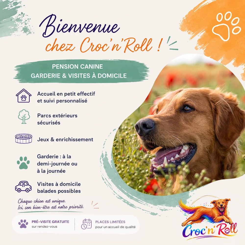 Croc'N'Roll - Pension canine 79 - Archigny pet otel görseli 2