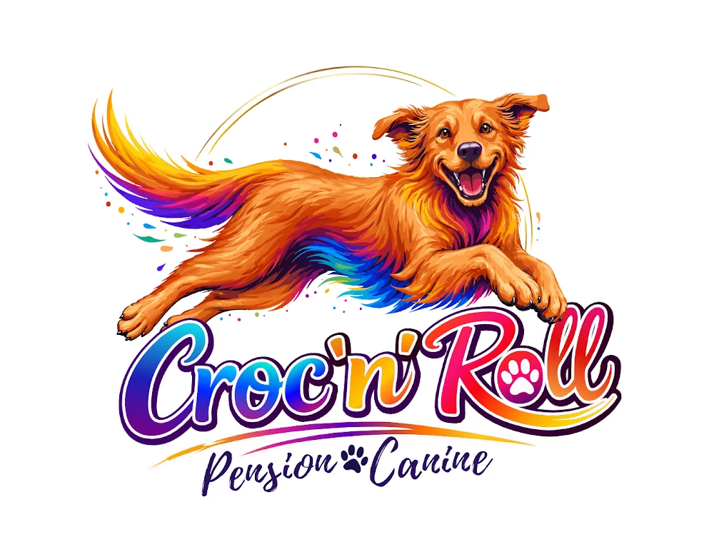 Croc'N'Roll - Pension canine 79 - Archigny pet otel görseli 3