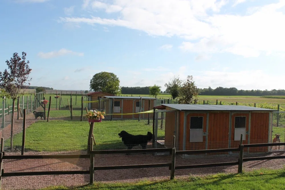 La vallée de la Veude, pension pour chiens - Archigny pet otel