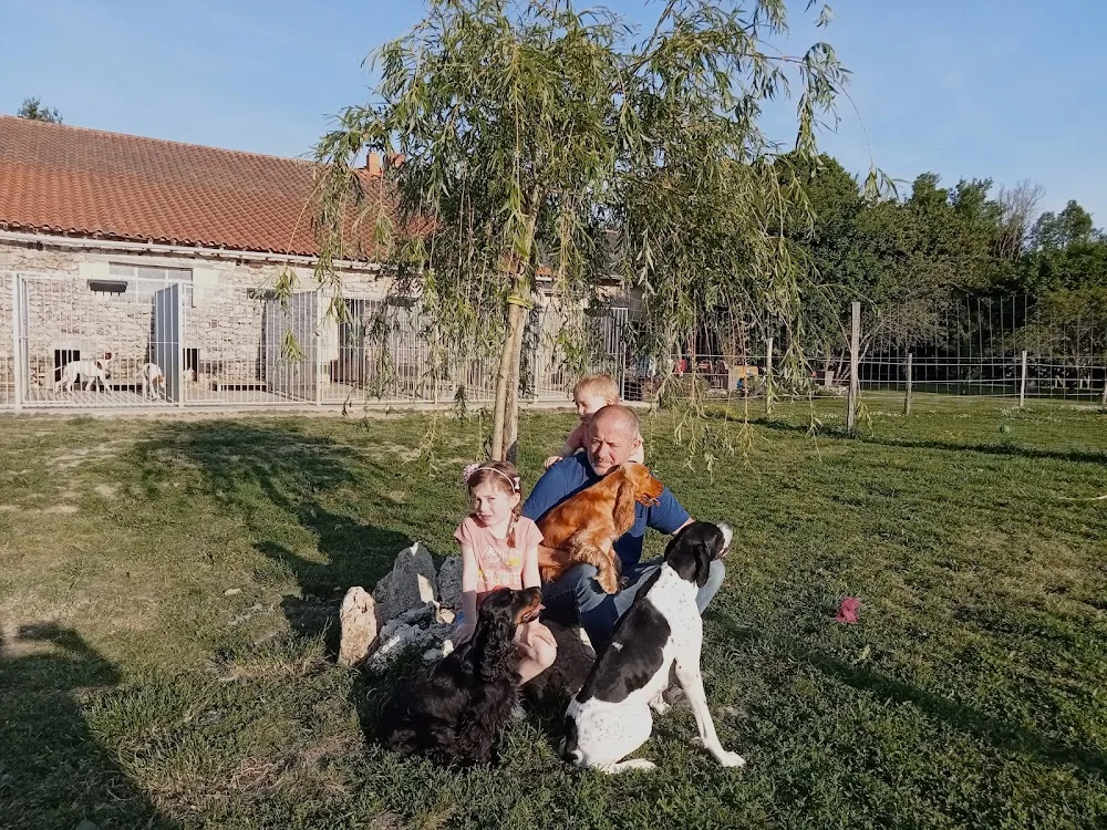 Pension canine Les Guerriers du Vent - Archigny pet otel görseli 3