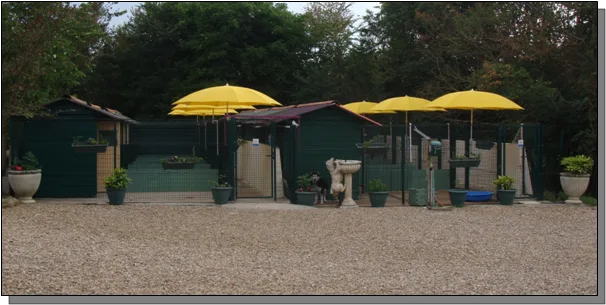 Pension La Grande Chauffetière - Archigny pet otel görseli 3