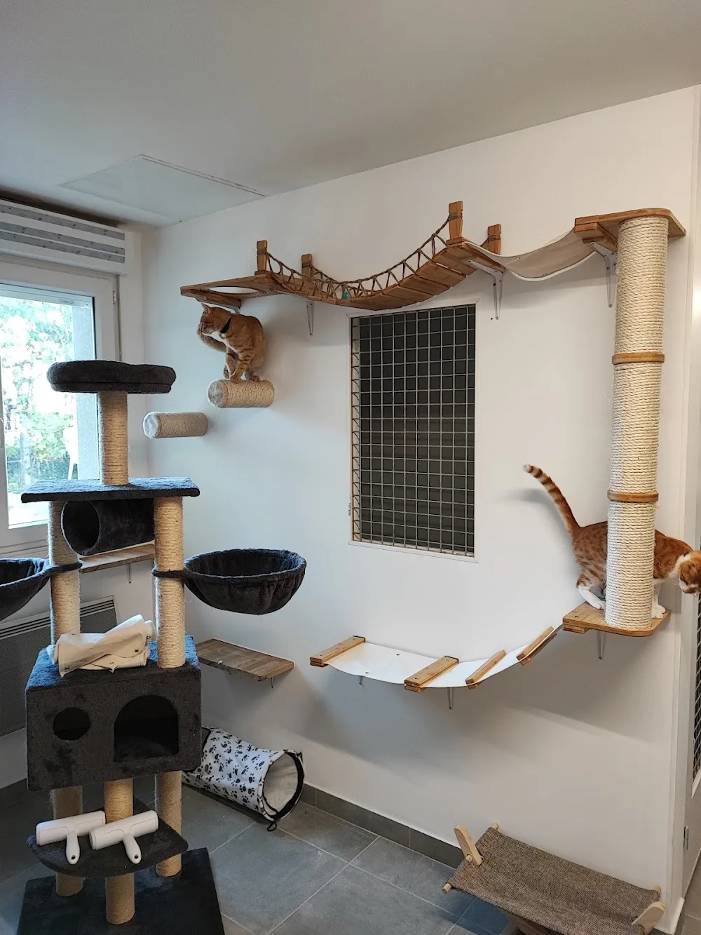 Pension La vallée des chats - Archigny pet otel görseli 7