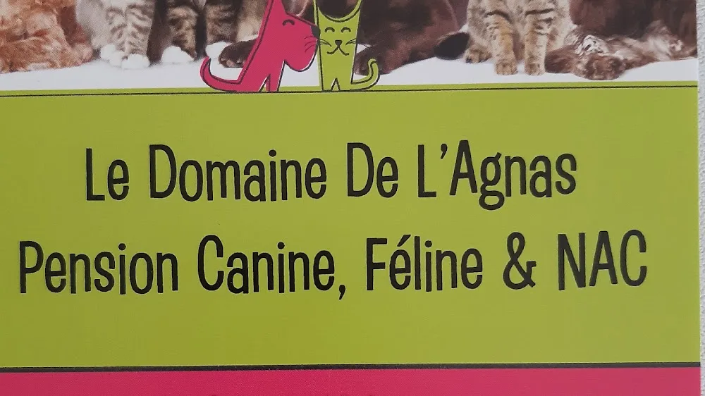 Pension Le Domaine De L'Agnas - Archigny pet otel görseli 3