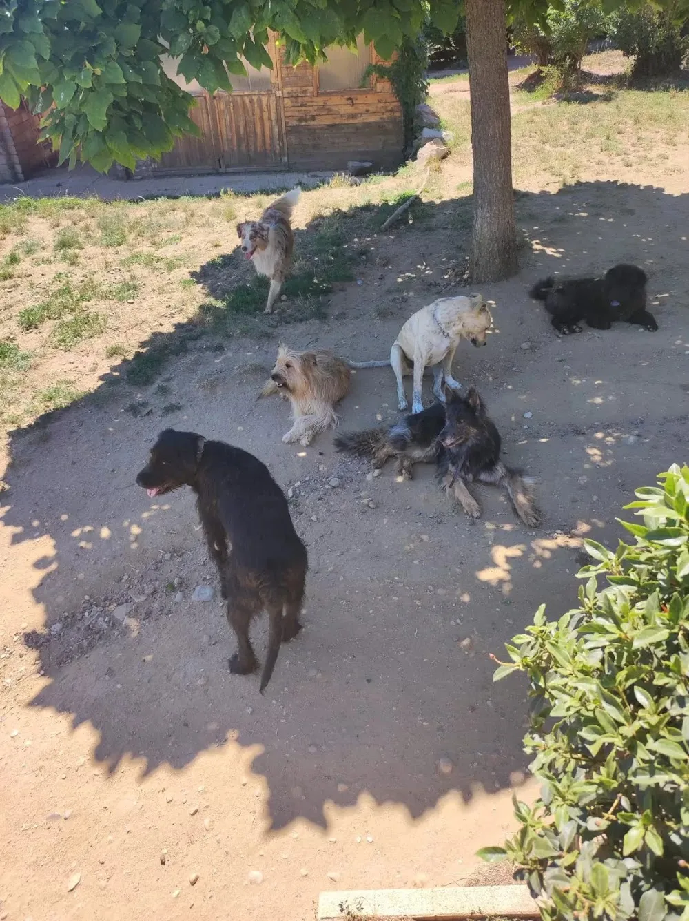 Brucicanin - Ardèche pet otel görseli 3