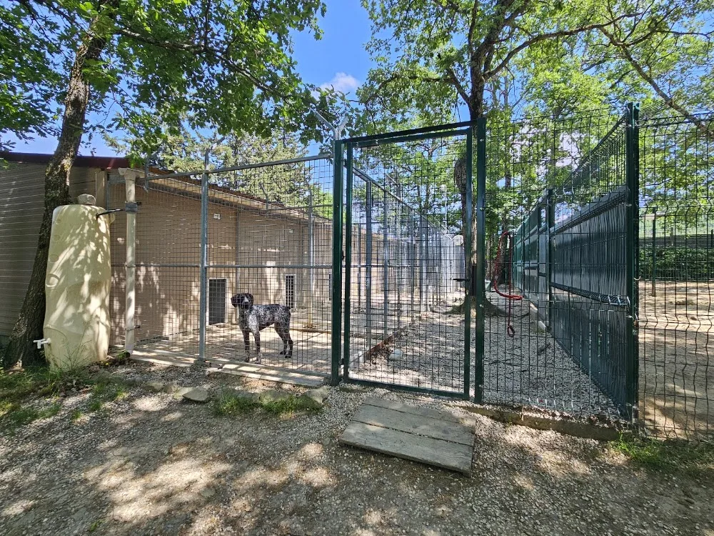 C.A PRO CANIN - Ardèche pet otel görseli 3